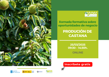 Abre a inscrición á xornada sobre producción de castaña do 25 de marzo