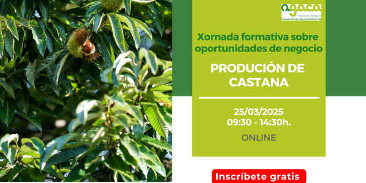 Abre la inscripción a la jornada sobre producción de castaña del 25 de marzo