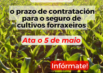 Es hora de contratar el seguro para cultivos forrajeros 2025