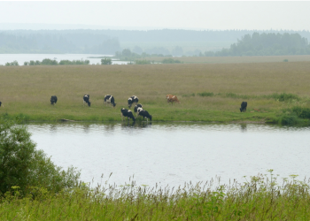 ¿Se pueden controlar los nitratos?