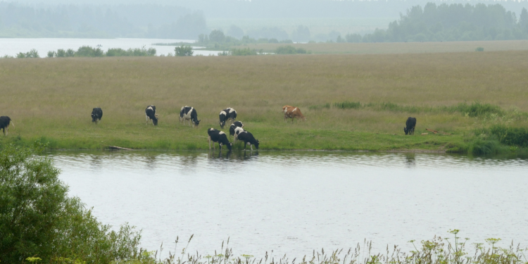 ¿Se pueden controlar los nitratos?