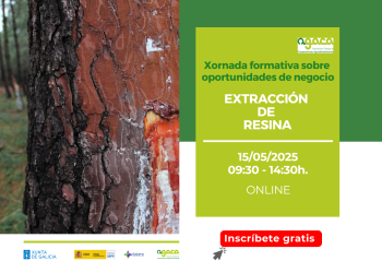 Abre inscripción a la jornada “Extracción de resina”, del 15 de mayo