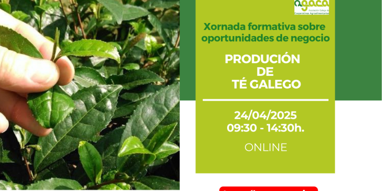 El 24 de abril AGACA imparte formación sobre producción del té gallego