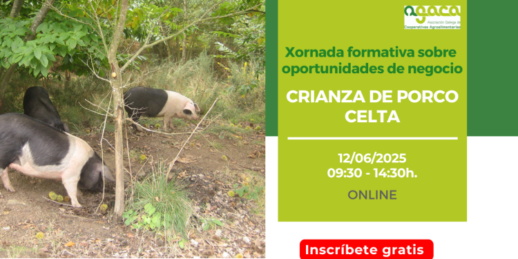 Abre inscripción la Jornada Formativa sobre Oportunidades de Negocio ‘Crianza de Porco Celta’