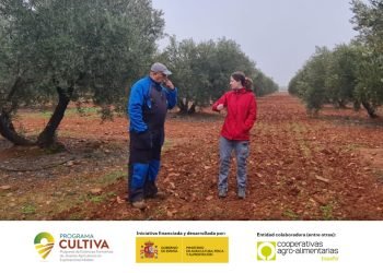 Abierta la convocatoria del Programa CULTIVA 2025 para jóvenes
