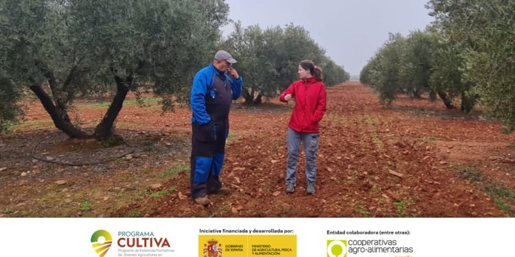 Abierta la convocatoria del Programa CULTIVA 2025 para jóvenes