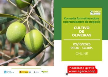 El 9 de octubre AGACA imparte formación sobre el cultivo de olivos