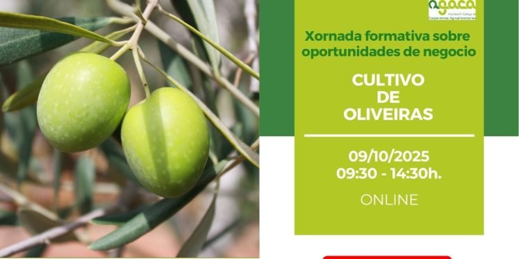 El 9 de octubre AGACA imparte formación sobre el cultivo de olivos