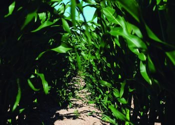 Como nos afecta a nova PAC