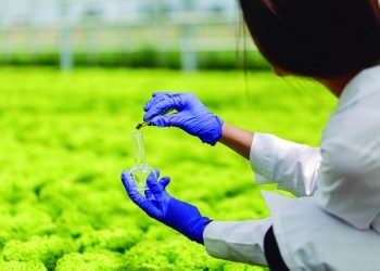 Blood4Goods avanza novidades no proceso de transformar o sangue residual nos matadoiros