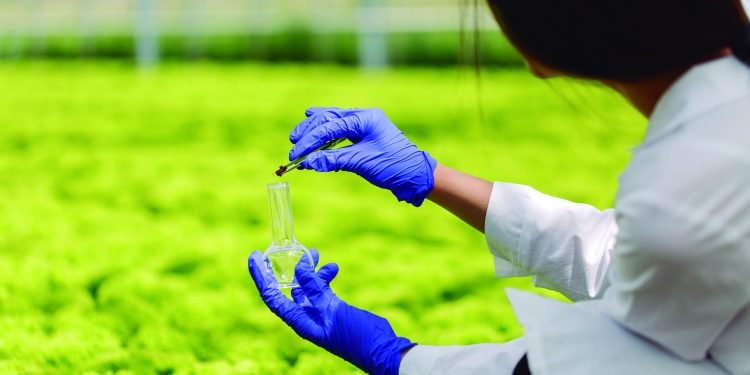 Blood4Goods avanza novidades no proceso de transformar o sangue residual nos matadoiros