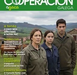 Inicio