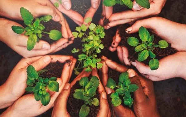 Cooperación Galega Nº176 – Decembro 2025