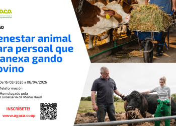 Abre inscripción a teleformación: Curso de formación para personal que maneja ganado bovino