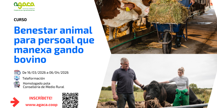 Abre inscripción a teleformación: Curso de formación para personal que maneja ganado bovino