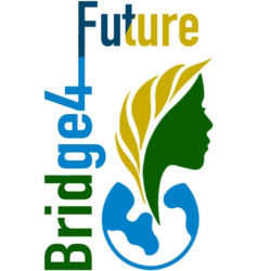 bridge4future-logo-cor-letras-marxecadrado