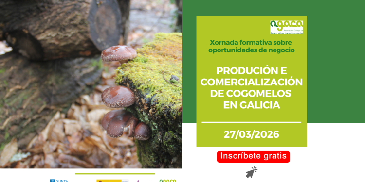 Abre la inscripción a una jornada formativa sobre producción y comercialización de setas