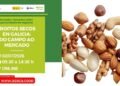 — Frutos secos en Galicia: del campo al mercado