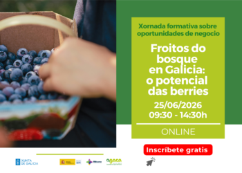 Abre a inscrición á xornada «Froitos do bosque en Galicia: o potencial das berries»