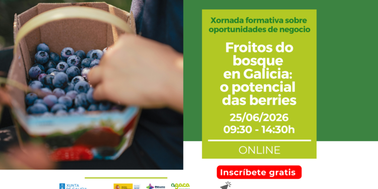 Abre a inscrición á xornada “Froitos do bosque en Galicia: o potencial das berries”