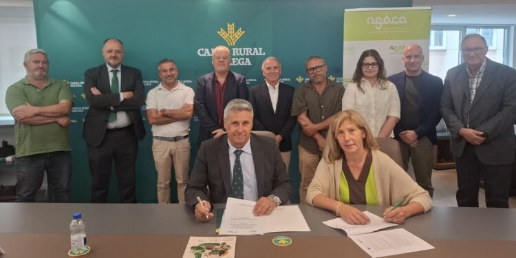 AGACA y Caixa Rural Galega refuerzan su colaboración para impulsar proyectos europeos en beneficio de las cooperativas agroalimentarias gallegas