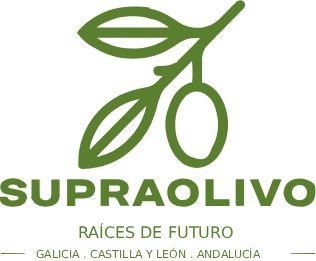 Supraolivo