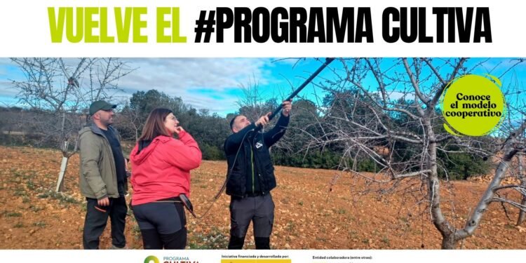 Abre la inscripción al Programa CULTIVA de estancias formativas para jóvenes agricultores en explotaciones modelo