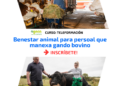 — Benestar animal para persoal que manexa gando bovino (outubro – decembro 2026)