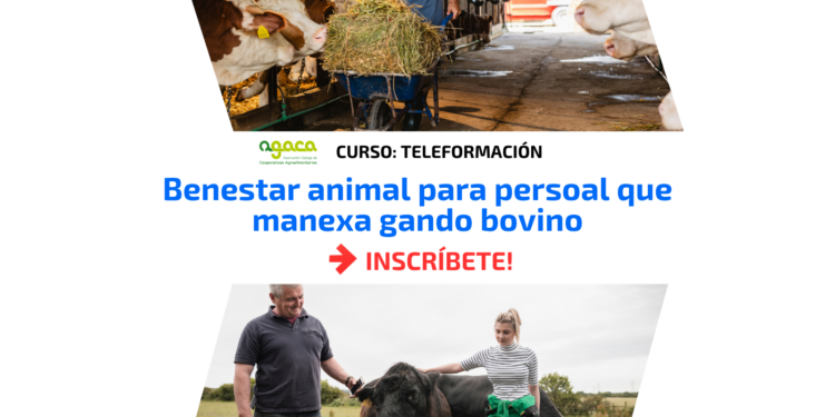 — Benestar animal para persoal que manexa gando bovino (outubro – decembro 2026)