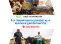 El curso Formación para personal que maneja ganado bovino comienza el 11 de noviembre